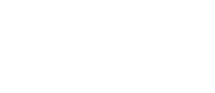 realizzazione sito web Liceo scientifico statale